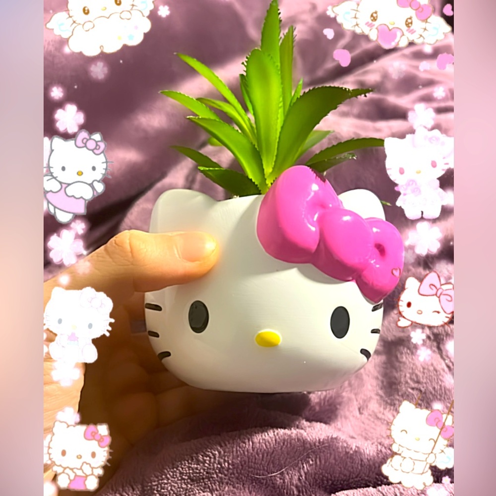 Hello kitty plant vase cup